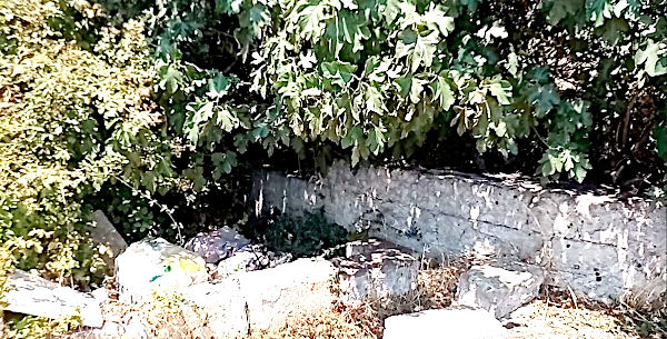 Foto dell'attivazione del 04/08/2022 di Grotta Santa Lucia