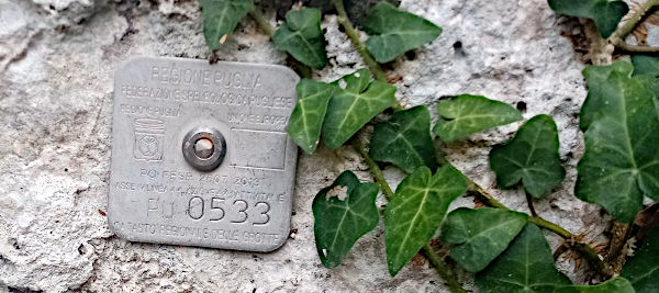 La targhetta del Catasto delle Grotte e referenza del DPGS